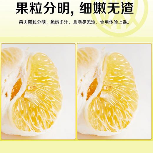 疯抢中！！【荣获农博会金奖】【洪江纯正黄金贡柚】清甜无酸 果粒分明 维C卫士老少皆宜 5斤/10斤/送手提彩箱装 商品图7
