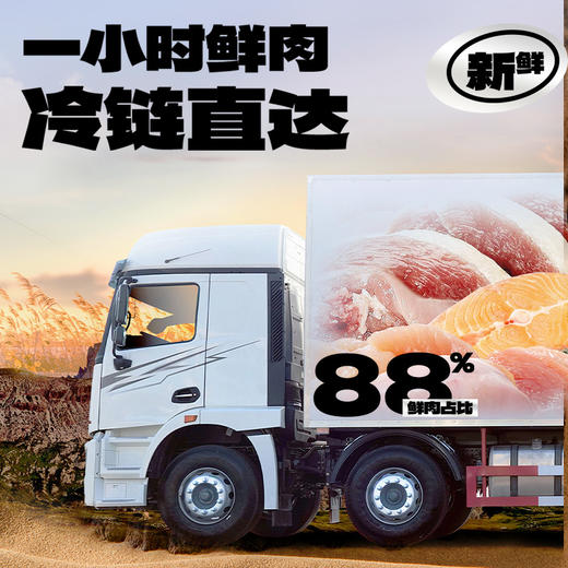 喵铮铮大腮帮全价烘焙猫粮 2斤/包 猫咪鲜肉营养主粮 商品图1