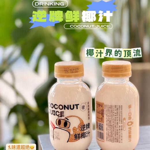 【逆牌•鲜椰汁】甄选进口老树椰子，只采用第一道新鲜椰肉榨取，椰香浓郁，口感清新，清爽不腻， 246g*10瓶 商品图0