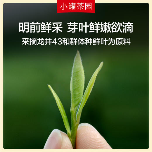 【25年春茶】小罐茶园 一级龙井茶 钱塘产区绿茶 100g 【 现货发出】 商品图3