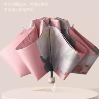 【颜值爆棚❗️UPF50+黑胶晴雨伞】晴雨两用，防紫外线，遇水成珠，雨伞大号自动女遮阳伞八骨油画L 商品图3