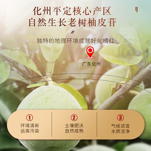 福东海 20年化橘红礼盒680克 礼品正宗化州果陈化干切片老桔红片礼品 商品图4