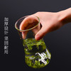 【赠品】观山杯玻璃杯绿茶杯 单拍不发货 1个ID只送1个 商品缩略图4
