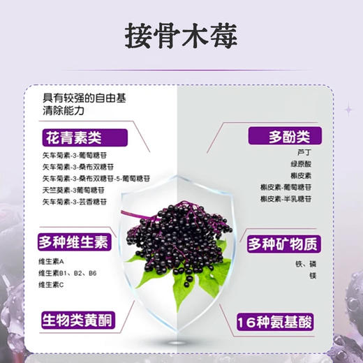 【小来】接骨木莓牦牛骨髓粉 动植搭配 补得进吸收快 商品图1