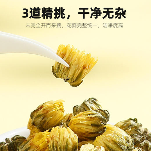 杞里香胎菊 商品图1