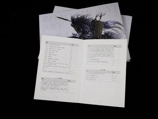 【普通版】赵首艺电影美术作品选 商品图1