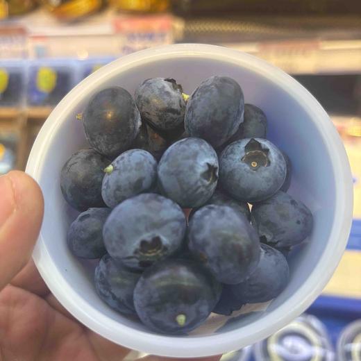 枝冠蓝莓🫐 商品图0