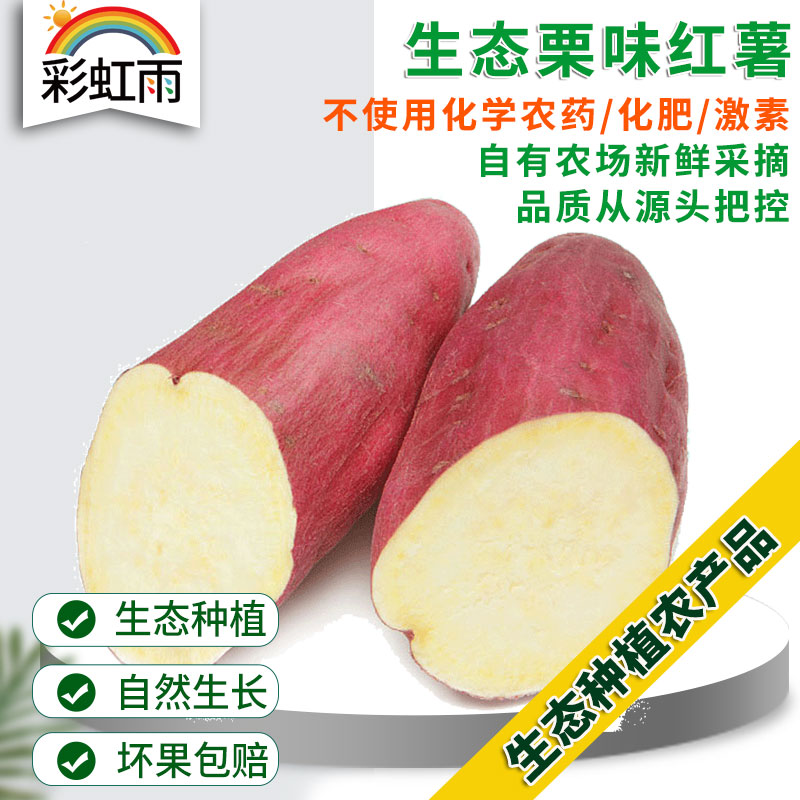 彩虹雨 生态蔬菜 栗味红薯 地瓜500g 京津冀满百包邮