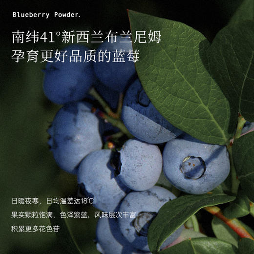新西兰Blackwood 黑森林蓝莓冻干粉 商品图3