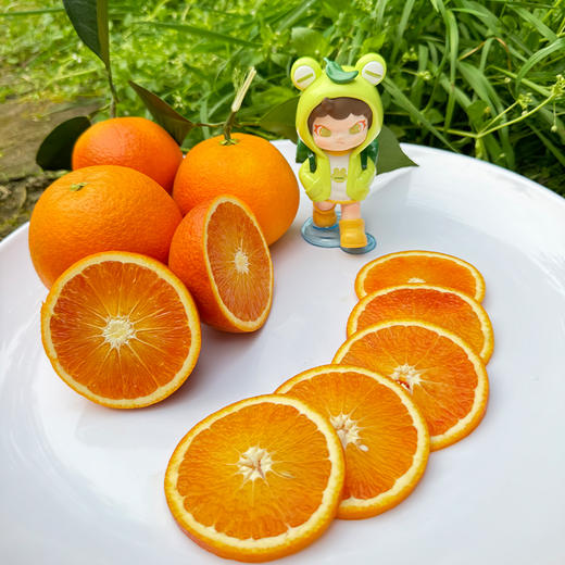 【全国包邮，部分地区除外】新鲜水果 重庆奉节玫瑰香橙果径65mm以上 5斤 商品图4