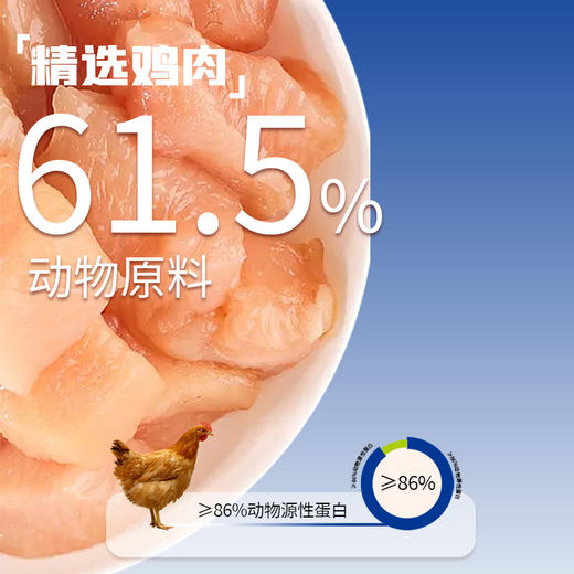 喵铮铮经济好粮猫粮 2斤/12斤/包 全阶段宠物无谷营养猫粮 商品图1