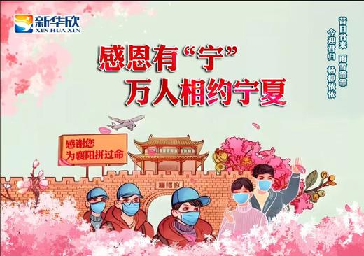 宁夏尾款 商品图0