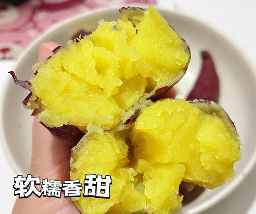无公害认证 | 崂山蜜薯黄蜜系列 汀甜金蜜/山地蜜薯烤薯/无添加蜜薯干红薯干 无熏硫红薯粉丝 新鲜番薯零食食材(三种规格可选) 商品图11