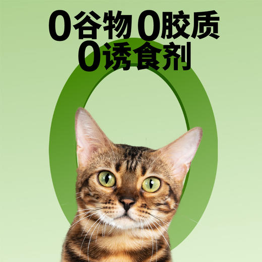 喵铮铮猫草羊奶棒主食冻干 50g/包 猫咪营养排毛洁齿磨牙零食 商品图4