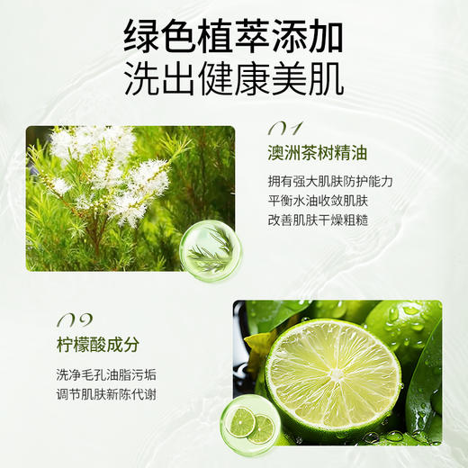 茶树精油菁萃修护沐浴露 500ml 商品图1