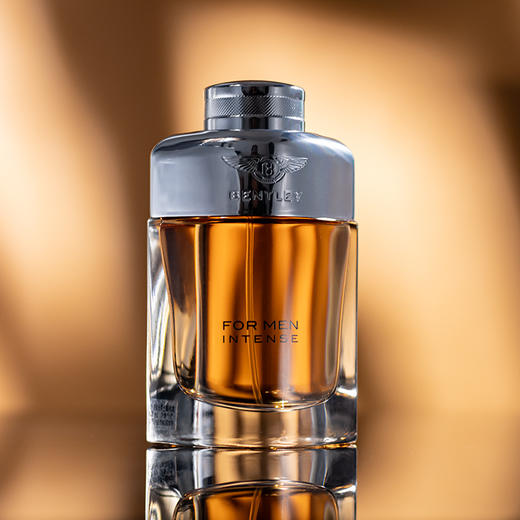 宾利 爵士加强 Bentley for Men Intense 分装 商品图0