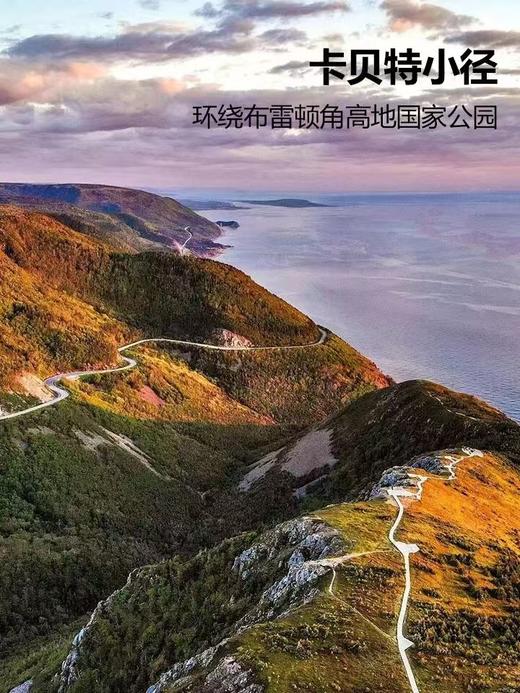 加拿大签证【超级简化】 商品图5