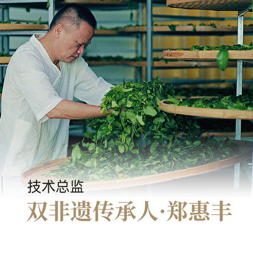 【好茶破价王赠品】鸭屎香（水龙吟） 商品图3