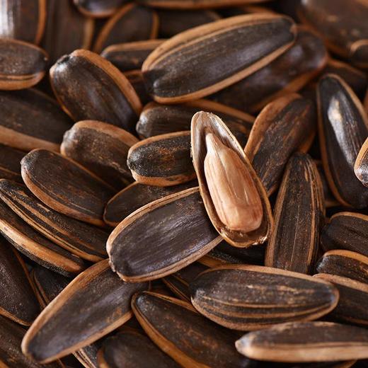 焦糖味瓜子 500g 商品图1