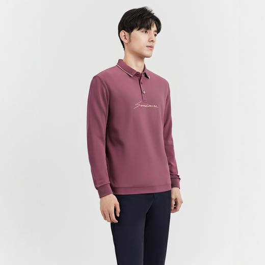 圣得西长袖polo衫男2025年新款商务绅士休闲撞色翻领时尚男士上衣2412945096 商品图2