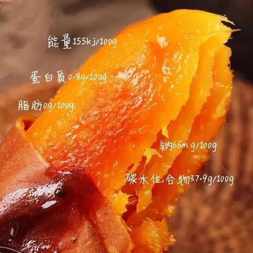 无公害认证 | 崂山蜜薯黄蜜系列 汀甜金蜜/山地蜜薯烤薯/无添加蜜薯干红薯干 无熏硫红薯粉丝 新鲜番薯零食食材(三种规格可选) 商品图14
