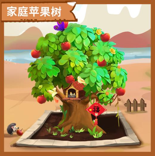 【家庭树】2025“我有一棵树 长在阿克苏”大型援疆行动家庭树认种 商品图0