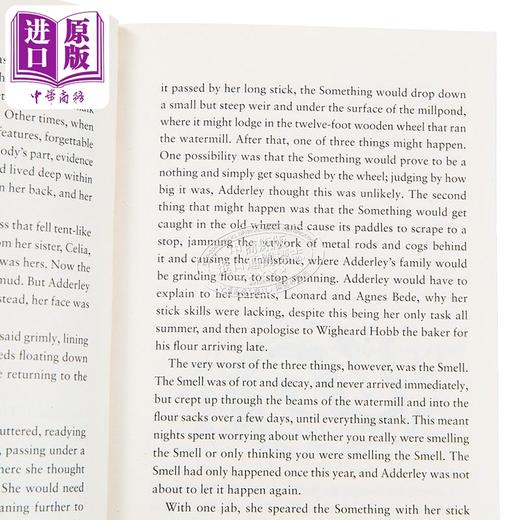 【中商原版】河里的小偷 The River Thief 英文原版 Hannah Peck 青少年奇幻文学 商品图2