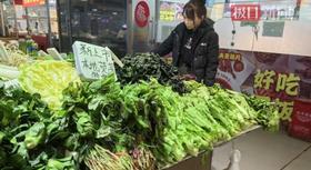 汉派特色红苋菜上市即成宠儿