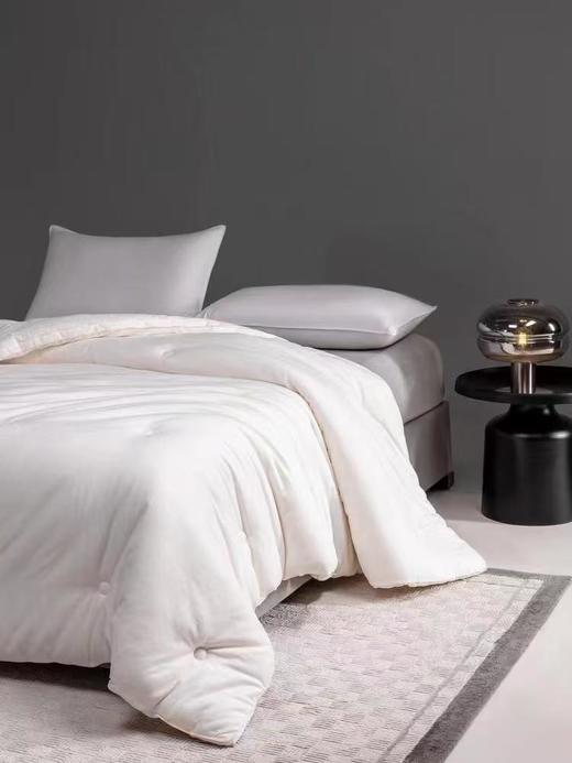 宜庭纯棉四件套+送纯棉提花大豆被一床 商品图3