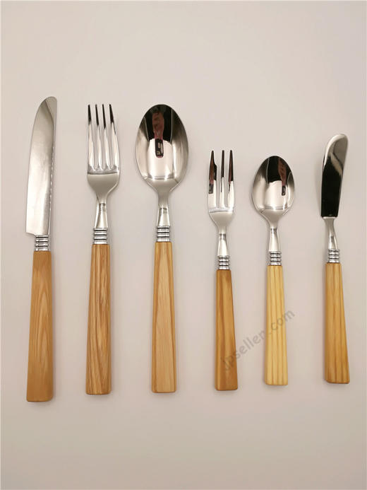 日本进口高桑金属GANSHIN茶匙 商品图0