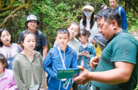 【2025】大熊猫公益科考探索营｜跨学科融合PBL 全方位解析大小熊猫，收获4份含金量证书！