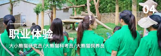 【2025】大熊猫公益科考探索营｜跨学科融合PBL 全方位解析大小熊猫，收获4份含金量证书！ 商品图3