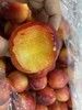 【预售】珠宝李/太阳李 肉质松脆爽口，一口下去汁水丰盈，满满的李子清香。 商品缩略图5