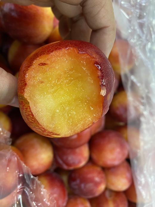 【预售】珠宝李/太阳李 肉质松脆爽口，一口下去汁水丰盈，满满的李子清香。 商品图5