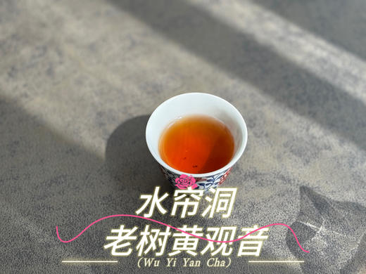 【新品上市】2024水帘洞老树黄观音来了，它不是肉桂，它只是树龄够老，拥有了肉桂的辛辣感 商品图10