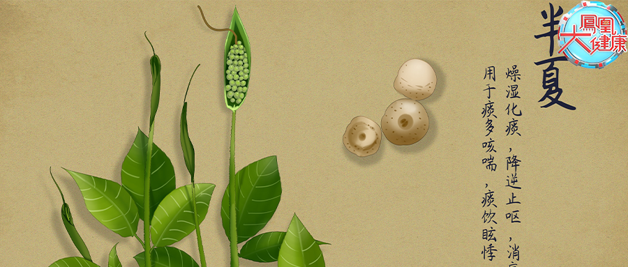 半夏.png