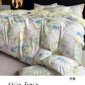 富家同款破价AB版臻彩棉四件套【M】