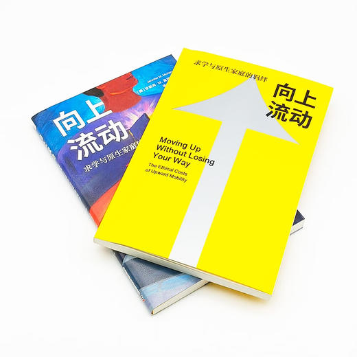 向上流动：求学与原生家庭的羁绊 商品图7