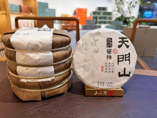 2024 天门山单株 古树纯料 森林味 200克 普洱生茶 商品图1