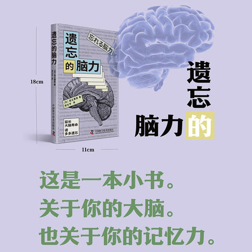遗忘的脑力（一本关于提高大脑机能、延长大脑寿命的科普指南） 商品图0