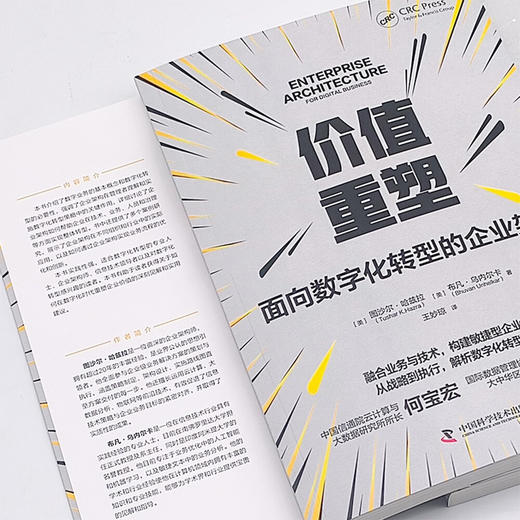 价值重塑：面向数字化转型的企业架构 商品图5