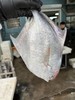 【闹妈海鲜】[热气]舟山本地野生白鳞大银鲳鱼 各种规格 商品缩略图3