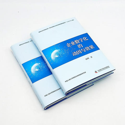 企业数字化的动因与效果：企业应对数字化转型挑战新视角 商品图3