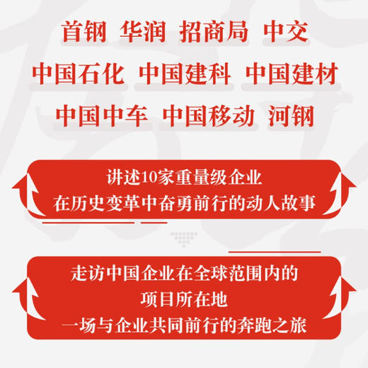 奔跑者：中国经济脊梁  央视财经频道制片人刘星力作 商品图2