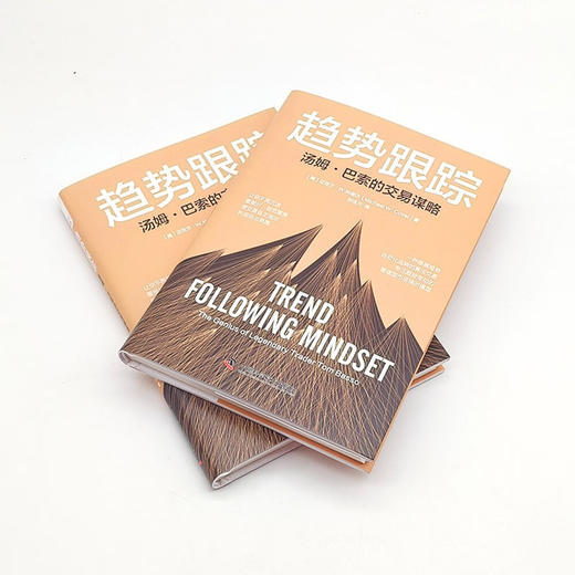 趋势跟踪: 汤姆·巴索的交易谋略 商品图4