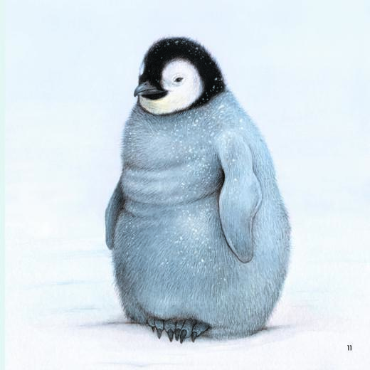 《你好！动物宝宝》（全6册） 商品图9