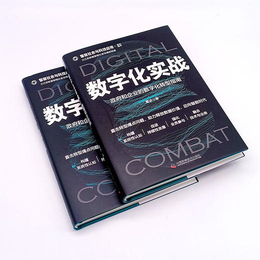数字化实战：政府和企业的数字化转型指南  智能社会与科技应用系列图书 商品图3