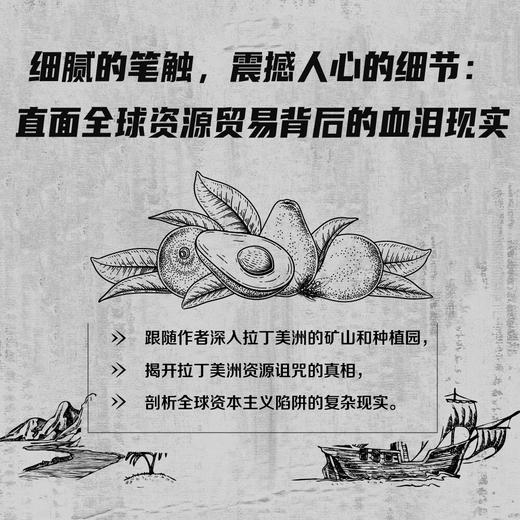 黄金、石油和牛油果：16件商品中的拉丁美洲发展历程 商品图2