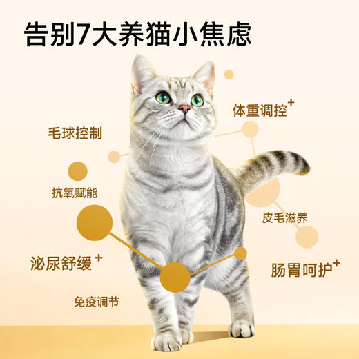 小壳全价营养主食罐美味湿粮（52g*12罐/盒）7重倍护 高适口高营养 商品图5