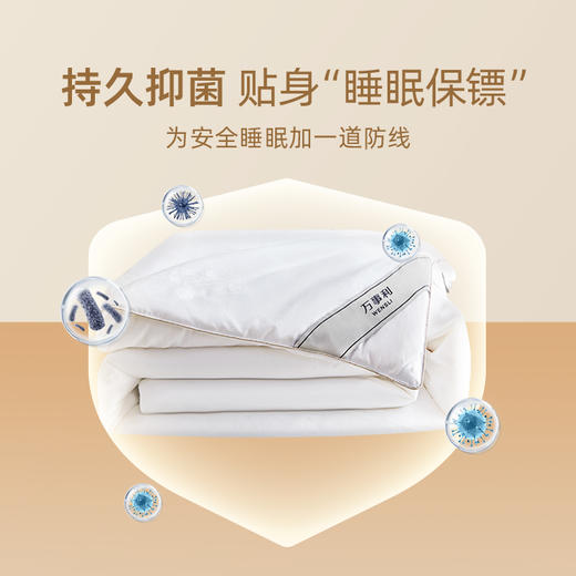 万事利低敏纯蚕丝被-万事顺意 商品图3